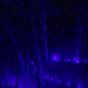 Meet your Posher, Marley